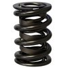 Pro-Alloy Dual Valve Spring Set 1.660 in. OD - image 2