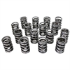 Electro Polished Pro-Alloy Dual Valve Spring Set 1.640 in. OD - image 1