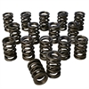 Pacaloy Dual Valve Spring Set 1.550 in. OD