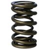 Pacaloy Dual Valve Spring Set 1.550 in. OD - image 3