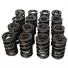 Pacaloy Dual Valve Spring Set 1.570 in. OD - image 1