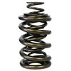 98846 Pacaloy Triple Valve Spring Set 1.645 in. OD - image 3