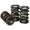 Pacaloy Dual Valve Spring Set 1.574 in. OD - image 2