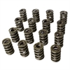Pro-Alloy Dual Valve Spring Set 1.575 in. OD - image 1