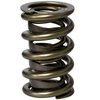 Pro-Alloy Dual Valve Spring Set 1.575 in. OD - image 3