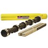 Hydraulic Flat Tappet Rattler Camshaft & Lifter Kit 1965-1996 Chevy 396-502 - image 2