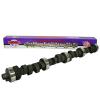 CAMSHAFT AND LIFTER KIT - image 1