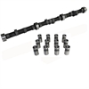 Hydraulic Flat Tappet Camshaft & Lifter Kit 1964-1996 Ford 240-300 - image 1