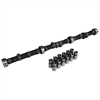 Hydraulic Flat Tappet Camshaft & Lifter Kit 1963-1983 Ford 140-250 - image 1