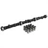 Hydraulic Flat Tappet Camshaft & Lifter Kit 1964-1995 AMC 199-258/4.0L - image 1