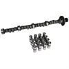 Hydraulic Flat Tappet Camshaft & Lifter Kit 1967-1976 Buick 400/430/455 - image 1