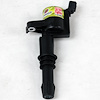 Street Fighter Coil 2005-2008 Ford 4.6/5.4L 2V - image 1
