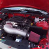 Cold Air Induction Kit 2005-09 Mustang GT 4.6L 3V - image 1