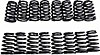 GM LS1 LS6 LS2 - Valve Spring Set Conical to .560 Lift - image 1