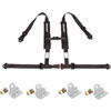 4 Point Auto Buckle Harness and Mount Kit - image 1