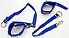 Arm Restraints Blue Adult - image 2