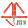 Pro-Series Latch & Link 5-Point Individual Harness Kit - image 1