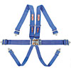 Pro-Series Latch & Link 6-Point Individual Harness Pull-Down Lap Belt Adjusters - image 1