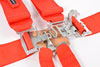 Pro-Series Latch & Link 6-Point Individual Harness Pull-Down Lap Belt Adjusters - image 2