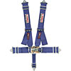 NASCAR Style Harness Set Blue - image 1