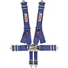 NASCAR Style Harness Set Blue - image 1