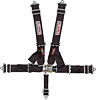 Pro-Series Latch & Link 5-Point Individual Harness Pull-Down Lap Belt Adjusters - image 1