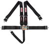 Pro-Series 2" Latch Link 5-Point Individual Harness 2" Webbing - image 1