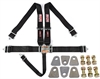 Pro-Series 2" Latch Link 5-Point Individual Harness and Hardware Kit - image 1