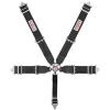 7000BK Pro-Series Camlock 5-Point Individual Harness Pull-Down Lap Belt Adjusters - image 1
