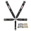 Pro-Series Camlock 5-Point Individual Harness Pull-Down Lap Belt Adjusters Kit - image 1