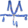 Pro-Series Camlock 5-Point Individual Harness Pull-Down Lap Belt Adjusters - image 1