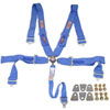 Pro-Series Camlock 5-Point Individual Harness Pull-Down Lap Belt Adjusters Kit - image 1