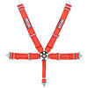 Pro-Series Camlock 5-Point Individual Harness Pull-Down Lap Belt Adjusters - image 1