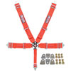 Pro-Series Camlock 5-Point Individual Harness Pull-Down Lap Belt Adjusters Kit - image 1