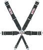 Pro-Series Camlock 6-Point Individual Harness Pull-Down Lap Belt Adjusters - image 1
