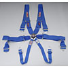 Pro-Series Camlock 6-Point Individual Harness Pull-Down Lap Belt Adjusters - image 1