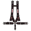 Pro-Series Camlock H-Type Harness Set Pull-Down - image 1