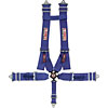 Pro-Series Camlock H-Type Harness Set Pull-Down - image 1