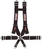 Pro-Series Camlock H-Type Harness Set Pull-Down - image 1