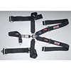 Pro-Series Camlock 5-Point Individual Harness Pull-Up Lap Belt Adjusters - image 1