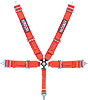 Pro-Series Camlock 5-Point Individual Harness Pull-Up Lap Belt Adjusters - image 1
