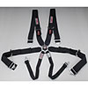 Pro-Series Camlock 6-Point Individual Harness Pull-Up Lap Belt Adjusters - image 1