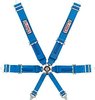 Pro-Series Camlock 6-Point Individual Harness Pull-Up Lap Belt Adjusters - image 1