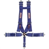 Pro-Series Camlock H-Type Harness Set Pull-Up - image 1
