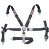 Pro Series Camlock 5-Point Jr. Dragster Safety Harness Pull-Up Lap Belt - image 1