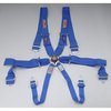6PT PD-LAP IND-SHLD CAM - image 1
