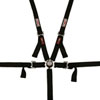 2 CAMLOCK ADULT - image 1