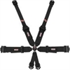 6-PT CAMLOCK PU SFI BELTS - image 1
