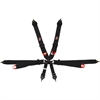 Pro-Series Latch & Link 6-Point FIA Rated Harness - image 1