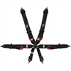Pro-Series Cam Lock 6-Point FIA Rated Harness - image 1